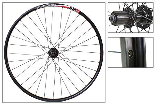 Alex DP20 29er Disc Rear Wheel, 8/9-Speed, QR, NMSW, Black